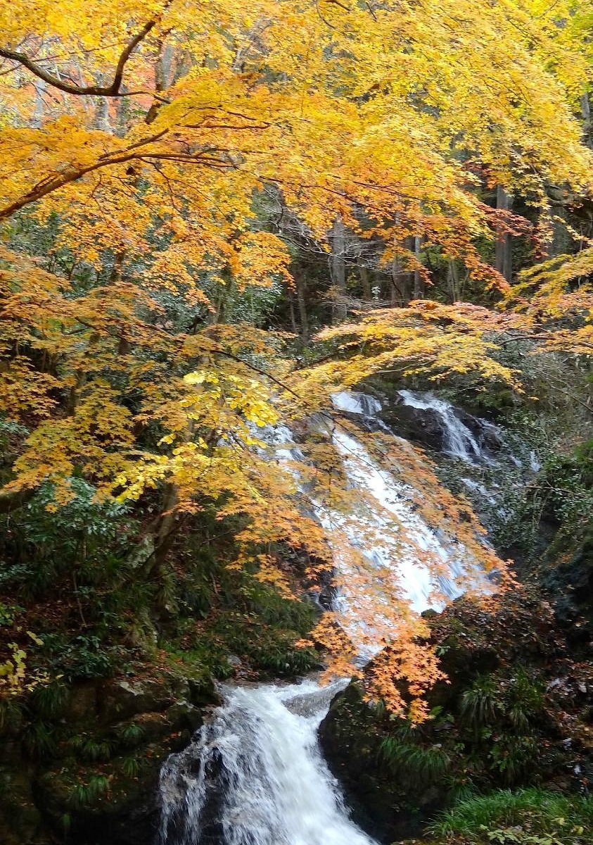 🏞️ 시모타키 폭포 (요코가와노시모타키) 이미지 7